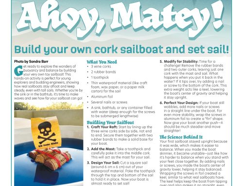 Build Your Own Cork Sailboat and Set Sail!